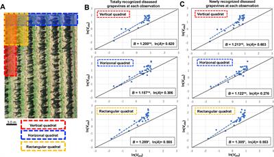 Insight into the new infection pathway resulting from above-ground pathogen infection of grapevine crown gall